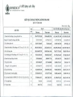 Báo cáo KQKD quý 4 năm 2010 - Công ty Cổ phần Xuất nhập khẩu Y tế Domesco