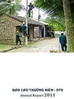 Báo cáo thường niên năm 2011 - Công ty Cổ phần Phát triển điện Nông thôn Trà Vinh