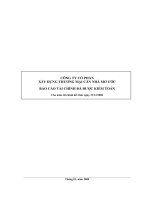 Báo cáo tài chính công ty mẹ năm 2006 (đã kiểm toán) - Công ty cổ phần Đầu tư Căn nhà Mơ ước