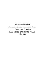 Báo cáo tài chính năm 2009 (đã kiểm toán) - Công ty Cổ phần Lâm Nông sản Thực phẩm Yên Bái