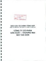 Báo cáo tài chính công ty mẹ năm 2010 (đã kiểm toán) - Công ty Cổ phần Sản xuất Thương mại May Sài Gòn
