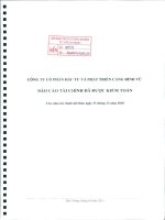 Báo cáo tài chính năm 2010 (đã kiểm toán) - Công ty cổ phần Đầu tư và Phát triển Cảng Đình Vũ