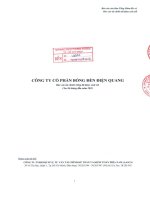 Báo cáo tài chính công ty mẹ quý 2 năm 2010 (đã soát xét) - Công ty Cổ phần Bóng đèn Điện Quang