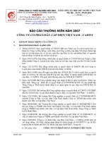 Báo cáo thường niên năm 2007 - Công ty cổ phần Dây Cáp Điện Việt Nam