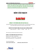 Bản cáo bạch - Công ty Cổ phần Tập đoàn Dầu khí An Pha
