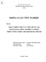 Luận văn phát triển cho vay tiêu dùng tại ngân hàng nông nghiệp và phát triển nông thôn chi nhánh hà thành 