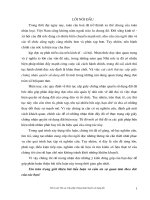 Thủ tục cấp giấy chứng nhận quyền sử dụng đất tiểu luận cao học