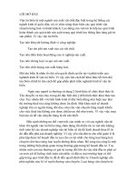 đề xuất dự án đầu tư mua tàu để vận chuyển bột mì kinh doanh trên hải phòng   minila ( philipin) của công ty cổ phần đầu tư và phát triển cảng đình vũ 