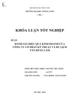 Luận văn đánh giá hiệu quả kinh doanh của công ty cổ phần kỹ thuật và du lịch tân hùng lâm 