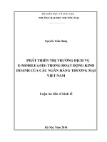 Phát triển thị trường dịch vụ e mobile (eMS) trong hoạt động kinh doanh của các ngân hàng thương mại việt nam 