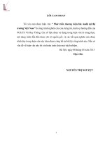 PHÁT TRIỂN THƯƠNG HIỆU BIA ASAHI TẠI THỊ TRƯỜNG VIỆT NAM