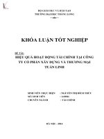 Luận văn hiệu quả hoạt động tài chính tại công ty cổ phần xây dựng và thương mại tuấn linh 