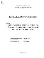 Luận văn phân tích tình hình tài chính tại công ty cổ phần đầu tư phát triển nhà và đô thị bắc giang 