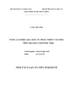 Luận án nâng cao hiệu quả đầu tư phát triển văn hóa trên địa bàn tỉnh phú thọ (TT) 