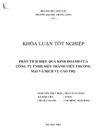 Luận văn phân tích hiệu quả kinh doanh của công ty trách nhiệm hữu hạn một thành viên thương mại và dịch vụ cao trụ 