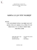 Luận văn các giải pháp nâng cao hiệu quả sử dụng vốn lưu động của công ty cổ phần đầu tư và phát triển nhà trường linh 