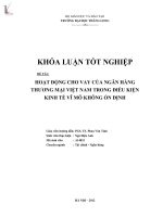 Luận văn hoạt động cho vay của ngân hàng thương mại việt nam trong điều kiện kinh tế vĩ mô không ổn định 