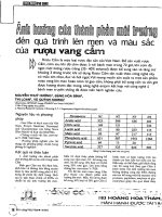 Ảnh hưởng của thành phần môi trường đến quá trình lên men và màu sắc của rượu vang cẩm