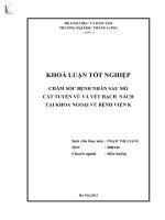 Luận văn chăm sóc bệnh nhân sau mổ cắt tuyến vú và vét hạch nách tại khoa ngoại vú bệnh viện k 