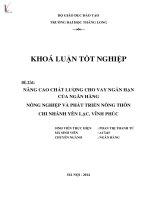 Luận văn nâng cao chất lượng cho vay ngắn hạn của ngân hàng nông nghiệp và phát triển nông thôn   chi nhánh yên lạc, vĩnh phúc 