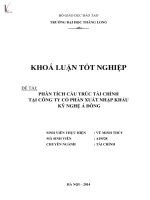 Luận văn phân tích cấu trúc tài chính tại công ty cổ phần xuất nhập khẩu kỹ nghệ á đông 