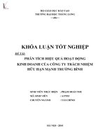 Luận văn phân tích hiệu quả hoạt động kinh doanh của công ty trách nhiệm hữu hạn mạnh trường bình 