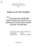 Luận văn giải pháp hạn chế rủi ro trong thanh toán quốc tế tại ngân hàng thương mại cổ phần sài gòn   hà nội ( SHB )