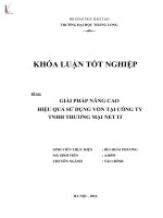 Luận văn giải pháp nâng cao hiệu quả sử dụng vốn tại công ty TNHH thương mại NET IT 