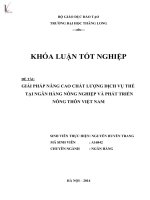 Luận văn giải pháp nâng cao chất lượng dịch vụ thẻ tại ngân hàng nông nghiệp và phát triển nông thôn việt nam 