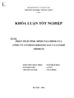 Luận văn phân tích tình hình tài chính của công ty cổ phần khoáng sản và cơ khí MIMECO 