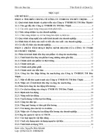 PHÂN TÍCH HOẠT ĐỘNG KINH DOANH CỦA CÔNG TY TNHH SX TM đức THỊNH 