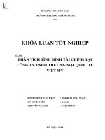 Luận văn phân tích tình hình tài chính tại công ty TNHH thương mại quốc tế việt mỹ 