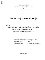 Luận văn một số giải pháp nhằm nâng cao hiệu quả sử dụng vốn lưu động tại công ty cổ phần sữa ba vì 