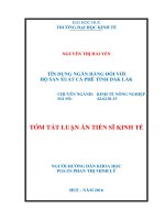 TÍN DỤNG NGÂN HÀNG ĐỐI VỚI HỘ SẢN XUẤT CÀ PHÊ TỈNH ĐẮK LẮK