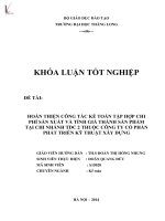 Luận văn hoàn thiện công tác kế toán tập hợp chi phí sản xuất và tính giá thành sản phẩm tại chi nhánh TDC 2 thuộc công ty cổ phần phát triển kỹ thuật xây dựng 