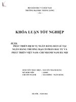 Luận văn Phát triển dịch vụ ngân hàng bán lẻ tại ngân hàng thương mại cổ phần đầu tư và phát triển Việt Nam chi nhánh Nam Hà Nội