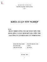 Luận văn hoàn thiện kế toán tiêu thụ hàng hóa và xác định kết quả tiêu thụ tại công ty cổ phần đầu tư FORINCONS  