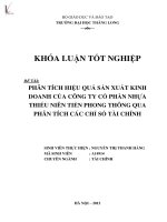 Luận văn phân tích hiệu quả sản xuất kinh doanh của công ty cổ phần nhựa thiếu niên tiền phong thông qua phân tích các chỉ số tài chính