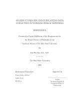 On structure less and everlasting data collection in wireless sensor networks 