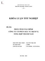 Luận văn phân tích tài chính công ty cổ phần đầu tư dịch vụ tổng hợp thành nam 