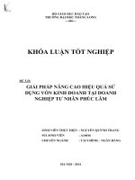 Luận văn giải pháp nâng cao hiệu quả sử dụng vốn kinh doanh tại doanh nghiệp tư nhân phúc lâm 