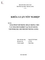 Luận văn giải pháp mở rộng hoạt động cho vay doanh nghiệp tại ngân hàng vietinbank chi nhánh thăng long 