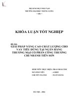 Luận văn giải pháp nâng cao chất lượng cho vay tiêu dùng tại ngân hàng thương mại cổ phần công thương chi nhánh tiên sơn 