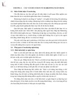 Hoàn thiện hoạt động marketing cho ngân hàng thương mại cổ phần công thương việt nam   chi nhánh bắc ninh 