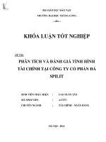 Luận văn phân tích đánh giá tình hình tài chính tại công ty cổ phần đá SPILIT 