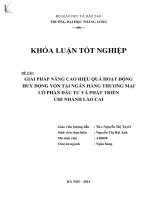 Luận văn giải pháp nâng cao hiệu quả hoạt động huy động vốn tại ngân hàng thương mại cổ phần đầu tư và phát triển chi nhánh lào cai 