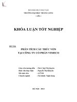 Luận văn Phân tích cấu trúc vốn tại công ty cổ phần Vimeco