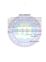 Chính sách quản lý nhà nước đối với hoạt động kinh doanh vàng ở việt nam hiện nay 