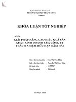 Luận văn giải pháp nâng cao hiệu quả sản xuất kinh doanh của công ty trách nhiệm hữu hạn năm hải 