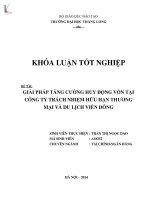 Luận văn giải pháp tăng cương huy động vốn tại công ty TNHH thương mại và dịch vụ viễn đông 